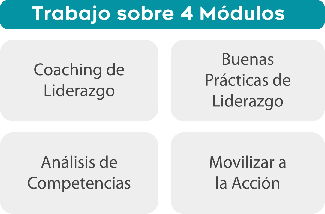 4 modulos coaching